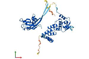 Protein Structure (PS) image for Speckle-Type POZ Protein (SPOP-B) (AA 1-374) protein (His tag) (ABIN7564174)