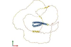 Protein Structure (PS) image for Periphilin 1 (PPHLN1) (AA 1-381) protein (His tag) (ABIN7559504)