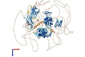 HECW2 Protein (AA 1-1578) (His tag)