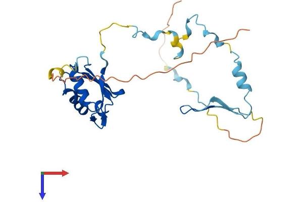 RCAN3 Protein (AA 1-239) (His tag)
