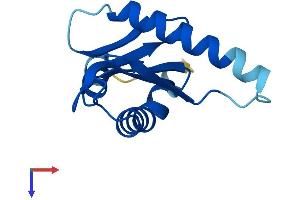 LAMTOR2 Protein (AA 1-125) (His tag)