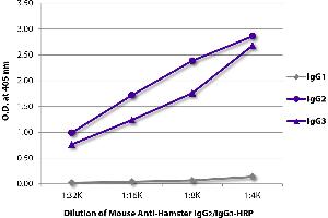 ELISA image for Mouse anti-Hamster IgG2, IgG3 antibody (HRP) (ABIN5707448)