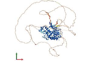 Protein Structure (PS) image for Inositol-Trisphosphate 3-Kinase C (ITPKC) (AA 1-683) protein (His tag) (ABIN7548518)