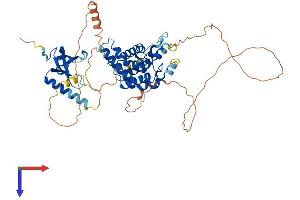 MSL3 Protein (AA 1-525) (His tag)