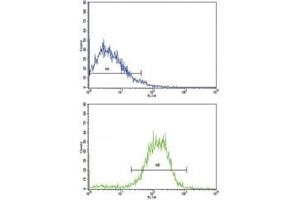 Flow Cytometry (FACS) image for anti-Cadherin 1, Type 1, E-Cadherin (Epithelial) (CDH1) (AA 160-189) antibody (ABIN3030243)