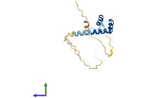 Protein Structure (PS) image for Rhox Homeobox Family, Member 1 (RHOXF1) (AA 1-184) protein (His tag) (ABIN7551420)