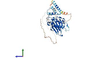 Protein Structure (PS) image for Aspartate beta-Hydroxylase Domain Containing 1 (ASPHD1) (AA 1-390) protein (His tag) (ABIN7552368)