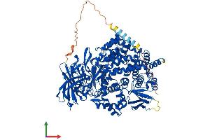 Protein Structure (PS) image for Glutamyl Aminopeptidase (Aminopeptidase A) (ENPEP) (AA 1-957) protein (His tag) (ABIN7552274)