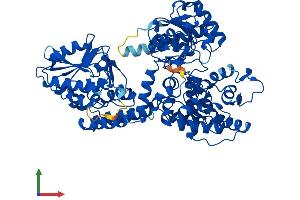 Protein Structure (PS) image for Enoyl-CoA, Hydratase/3-Hydroxyacyl CoA Dehydrogenase (EHHADH) (AA 1-723) protein (His tag) (ABIN7547286)