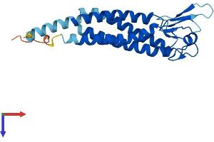 LHFPL5 Protein (AA 1-219) (His tag)