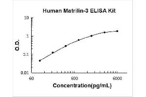 Matrilin 3 (MATN3) ELISA Kit