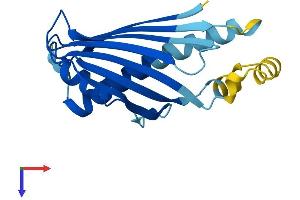 PRELID2 Protein (AA 1-189) (His tag)