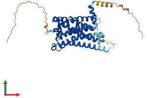 Protein Structure (PS) image for Melatonin Receptor 1B (MTNR1B) (AA 1-362) protein (His tag) (ABIN7549602)