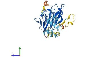 Protein Structure (PS) image for Neuralized Homolog 2 (NEURL2) (AA 1-285) protein (His tag) (ABIN7560851)