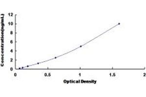 Typical standard curve (DAP Kinase 1 ELISA Kit)