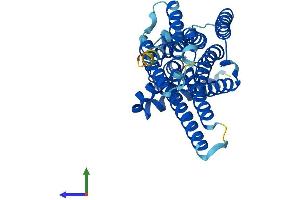 Protein Structure (PS) image for Glucose 6-Phosphatase, Catalytic (G6PC) (AA 1-357) protein (His tag) (ABIN7563178)