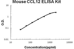 Mouse CCL12/MCP5 PicoKine ELISA Kit standard curve