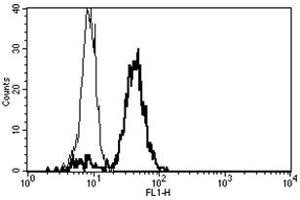 Flow Cytometry (FACS) image for anti-CD86 (CD86) antibody (FITC) (ABIN1106595) (CD86 Antikörper  (FITC))