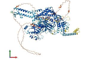 Protein Structure (PS) image for MutS Homolog 6 (E. Coli) (MSH6) (AA 1-1358) protein (His tag) (ABIN7563446)