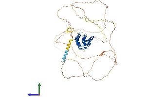 Protein Structure (PS) image for Mitochondrial Antiviral Signaling Protein (MAVS) (AA 1-540) protein (His tag) (ABIN7554470)