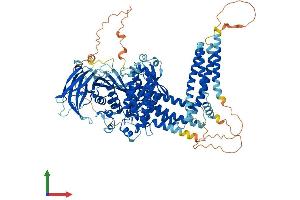 Protein Structure (PS) image for Inositol Polyphosphate-4-Phosphatase, Type I, 107kDa (INPP4A) (AA 1-939) protein (His tag) (ABIN7565029)