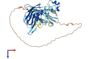 AlphaFold protein structure predicition of Mouse Recombinant Mmp23 Protein, UniprotID O88676 (Matrix Metallopeptidase 23 (MMP23) (AA 1-391) protein (His tag))