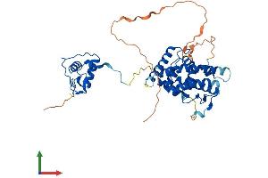 Protein Structure (PS) image for Hepatocyte Nuclear Factor 4 gamma (HNF4G) (AA 1-408) protein (His tag) (ABIN7548287)
