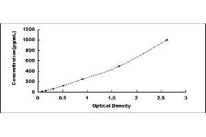 Typical standard curve (CCL2 ELISA Kit)