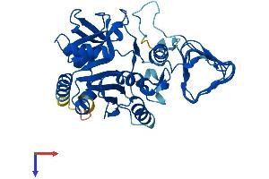 GMPPA Protein (AA 1-420) (His tag)