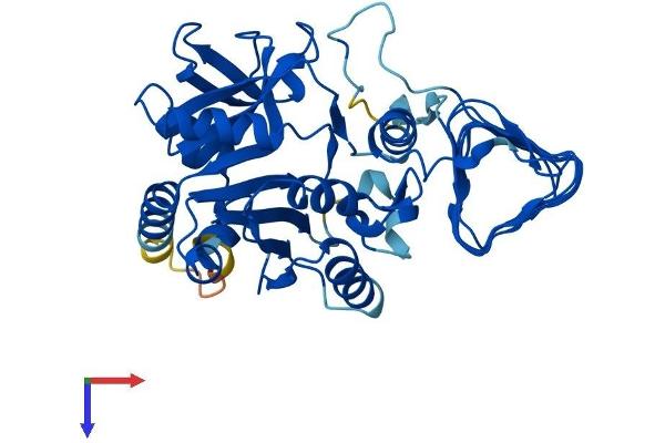 GMPPA Protein (AA 1-420) (His tag)