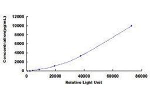 ELISA image for Transforming Growth Factor, beta 1 (TGFB1) CLIA Kit (ABIN1873144)