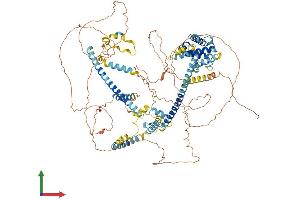 AlphaFold protein structure predicition of Human Recombinant HAUS6 Protein, UniprotID Q7Z4H7