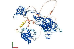 Protein Structure (PS) image for Gephyrin (GPHN) (AA 1-769) protein (His tag) (ABIN7564435)