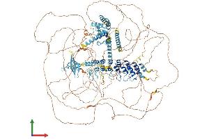 AlphaFold protein structure predicition of Mouse Recombinant Caskin1 Protein, UniprotID Q6P9K8