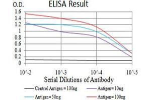 ELISA image for anti-Spleen tyrosine Kinase (SYK) (AA 217-356) antibody (ABIN5542635)