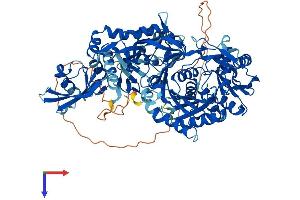 PIWIL1 Protein (AA 1-862) (His tag)