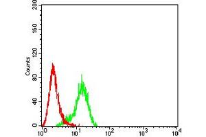 Flow cytometric analysis of Hela cells using PLXNA1 mouse mAb (green) and negative control (red). (Plexin A1 Antikörper  (AA 1100-1200))