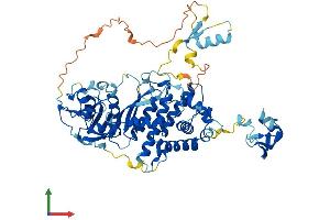 AlphaFold protein structure predicition of Human Recombinant PGBD3 Protein, UniprotID Q8N328