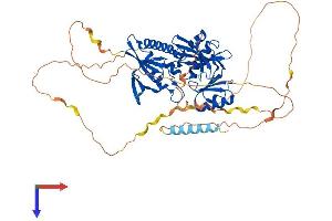 SYN2 Protein (AA 1-582) (His tag)