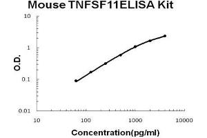 Mouse TNFSF11/RANKL PicoKine ELISA Kit standard curve (RANKL ELISA Kit)