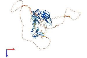 RPH3A Protein (AA 1-694) (His tag)