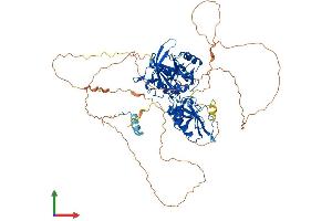 Protein Structure (PS) image for DNA Cross-Link Repair 1C (DCLRE1C) (AA 1-705) protein (His tag) (ABIN7564674)
