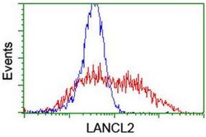 Image no. 2 for anti-LanC like 2 (LANCL2) (AA 212-450) antibody (ABIN1491208)