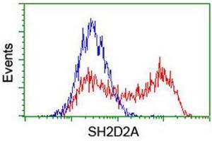 HEK293T cells transfected with either RC204162 overexpress plasmid (Red) or empty vector control plasmid (Blue) were immunostained by anti-SH2D2A antibody (ABIN2455613), and then analyzed by flow cytometry. (SH2D2A Antikörper)