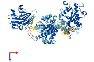 DDX1 Protein (AA 1-740) (His tag)