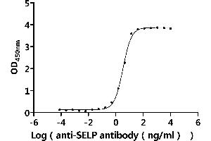 Measured by its binding ability in a functional ELISA.