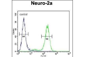 DDX11 Antibody (Center) (ABIN654411 and ABIN2844149) flow cytometric analysis of Neuro-2a cells (right histogram) compared to a negative control cell (left histogram). (DDX11 Antikörper  (AA 656-683))