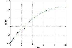 Cadherin 5 (CDH5) ELISA Kit