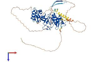 MTF2 Protein (AA 1-593) (His tag)