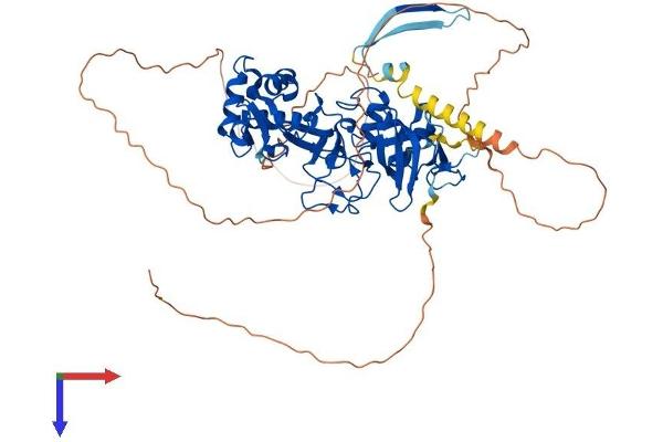 MTF2 Protein (AA 1-593) (His tag)